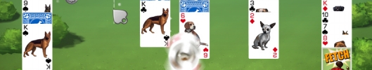 Best in Show Solitaire